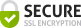 Secure Icon