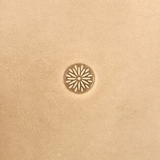 Barry King Sunburst Center