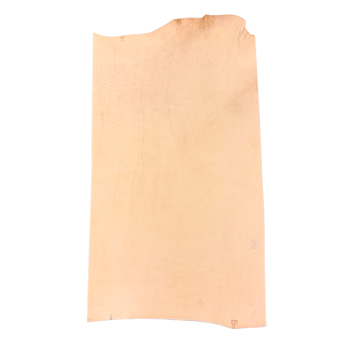 Hermann Oak Leather Piece - Image 3