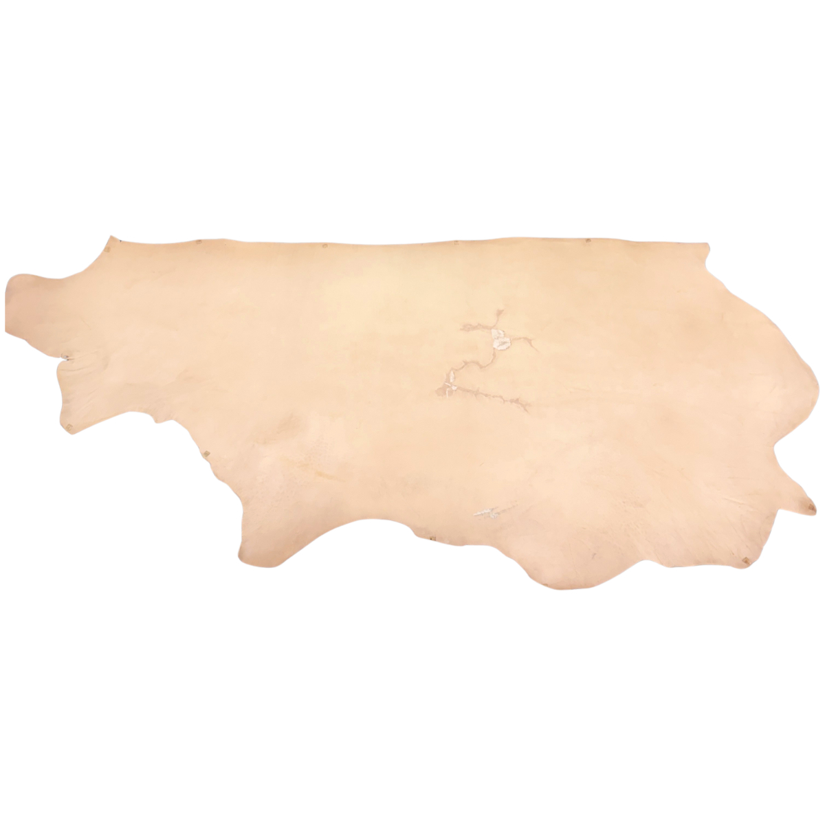 Hermann Oak Midgrade Tooling Leather - Image 3