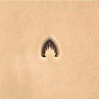 Barry King Shell Border Stamp