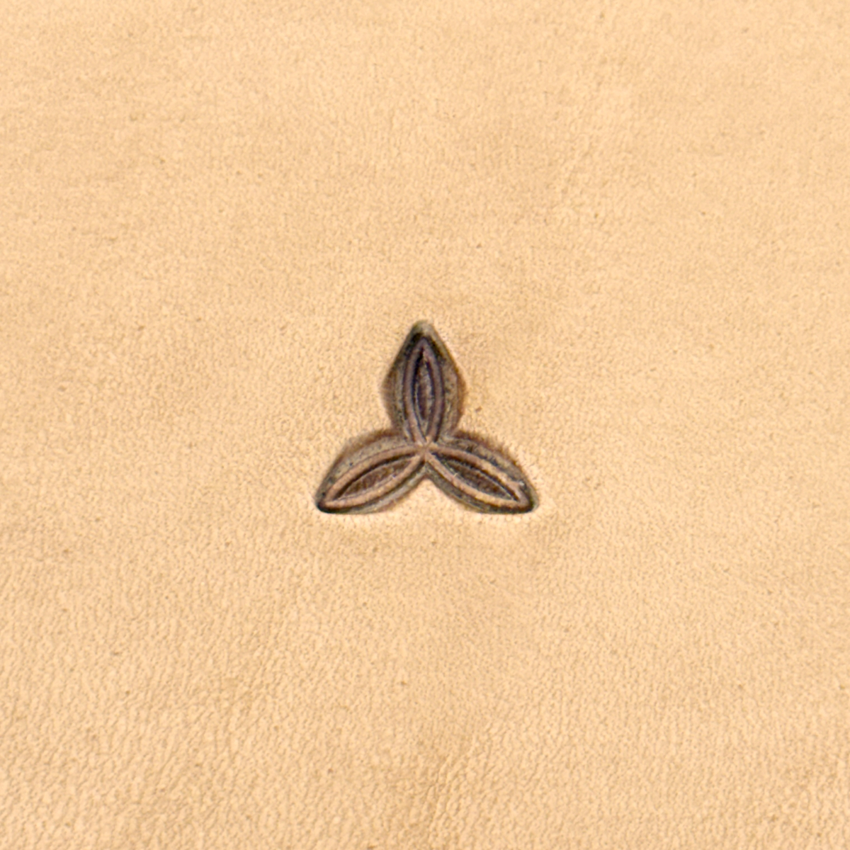 Barry King 3 Point Snowflake Stamp