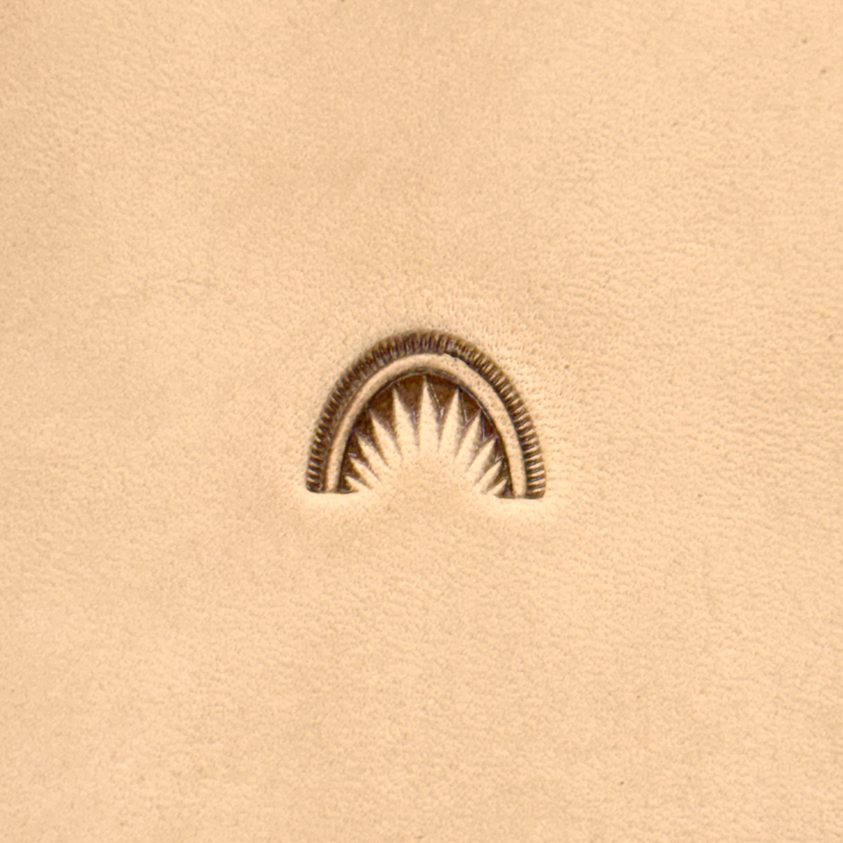 Barry King Crescent Shell Stamp