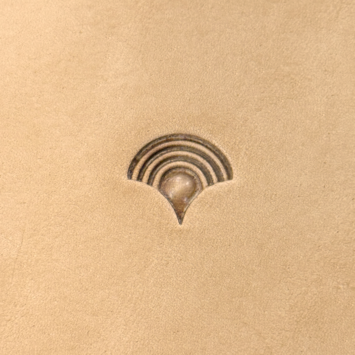 Barry King Loop Shell Stamp