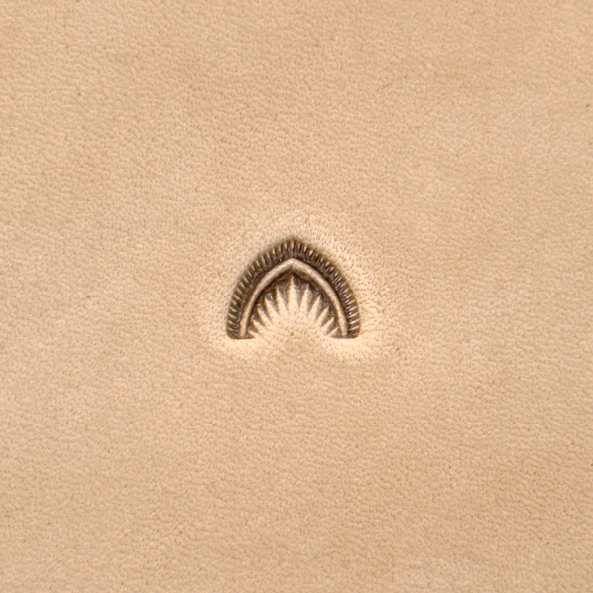 Barry King Pointed Crescent Shell Stamp