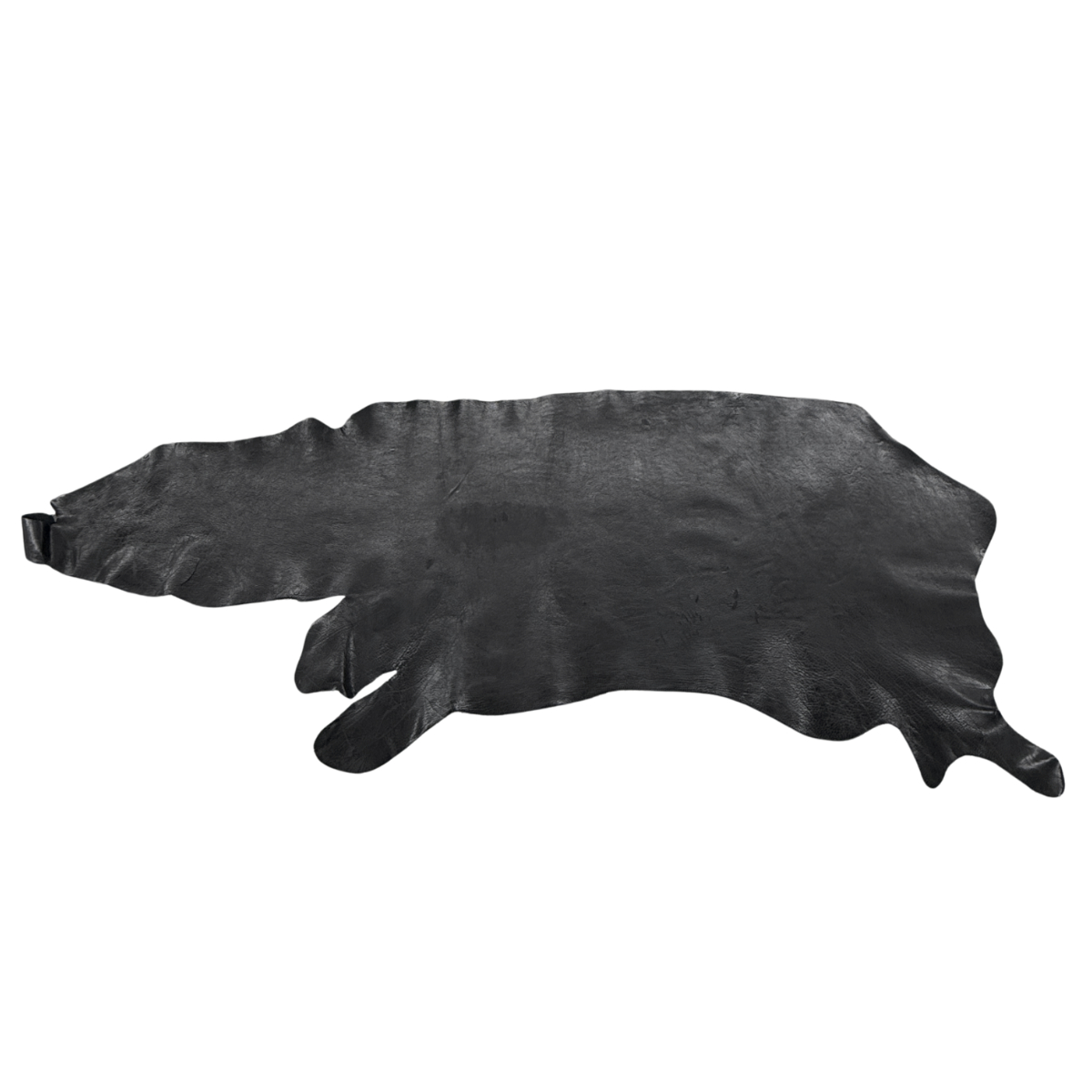 Black Utta - Shrunken Bison - Image 3