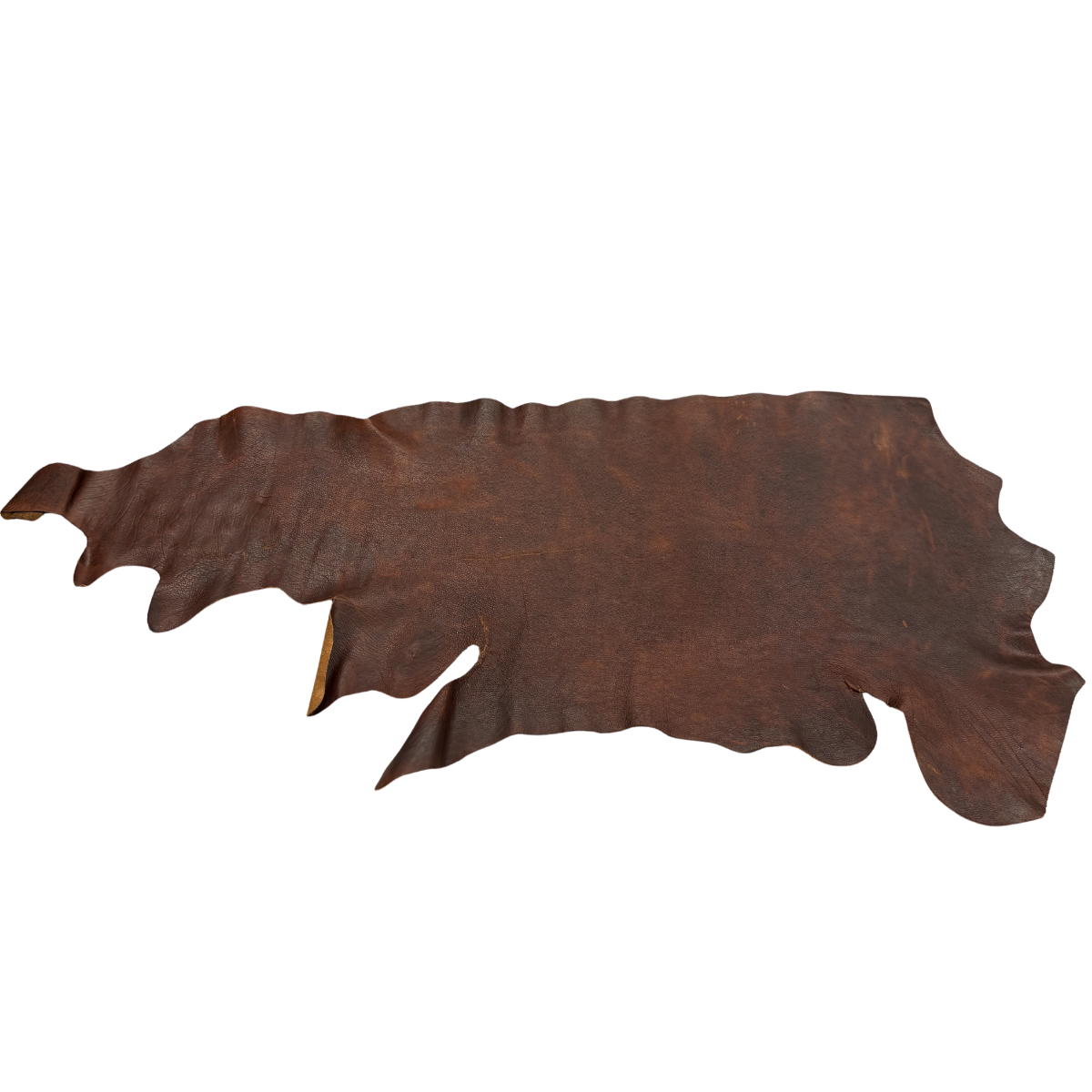 Whiskey Utta - Shrunken Bison - Image 3