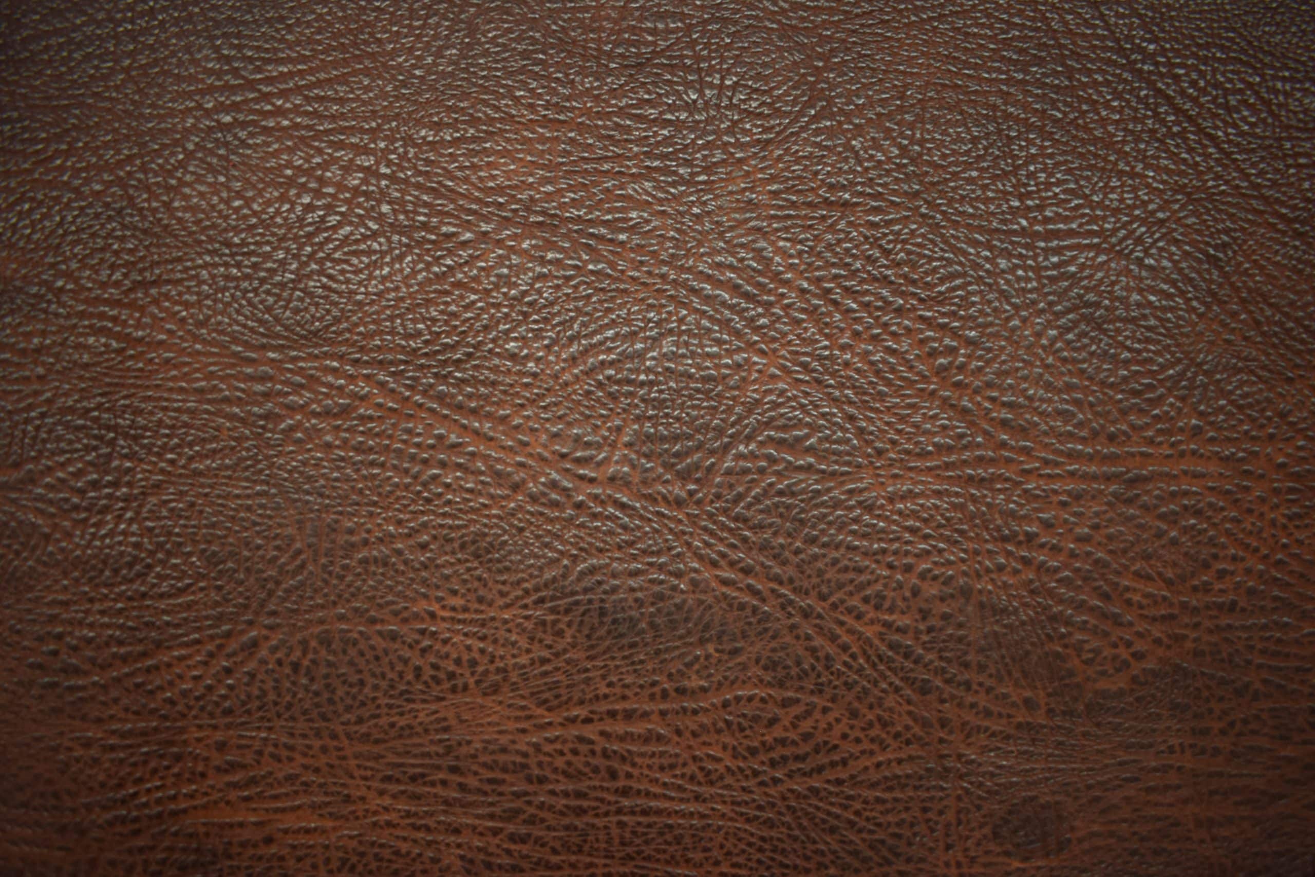 Whiskey Utta - Shrunken Bison - Image 2