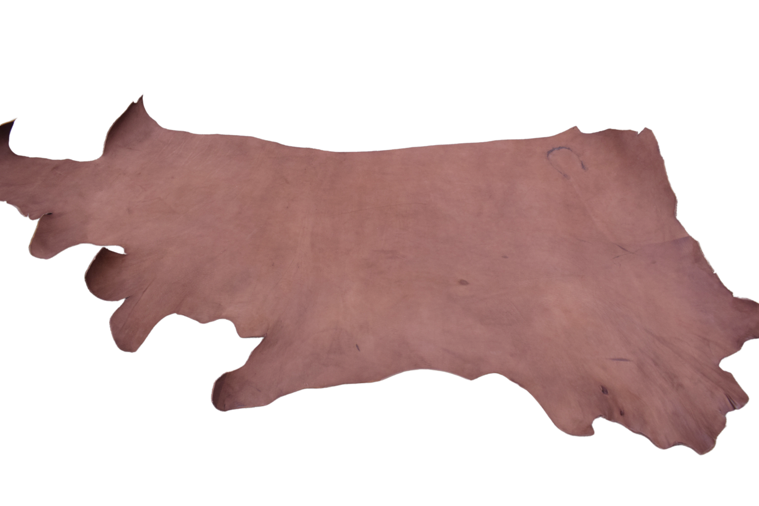 Clearance Veg Tan Leather Montana Leather Company