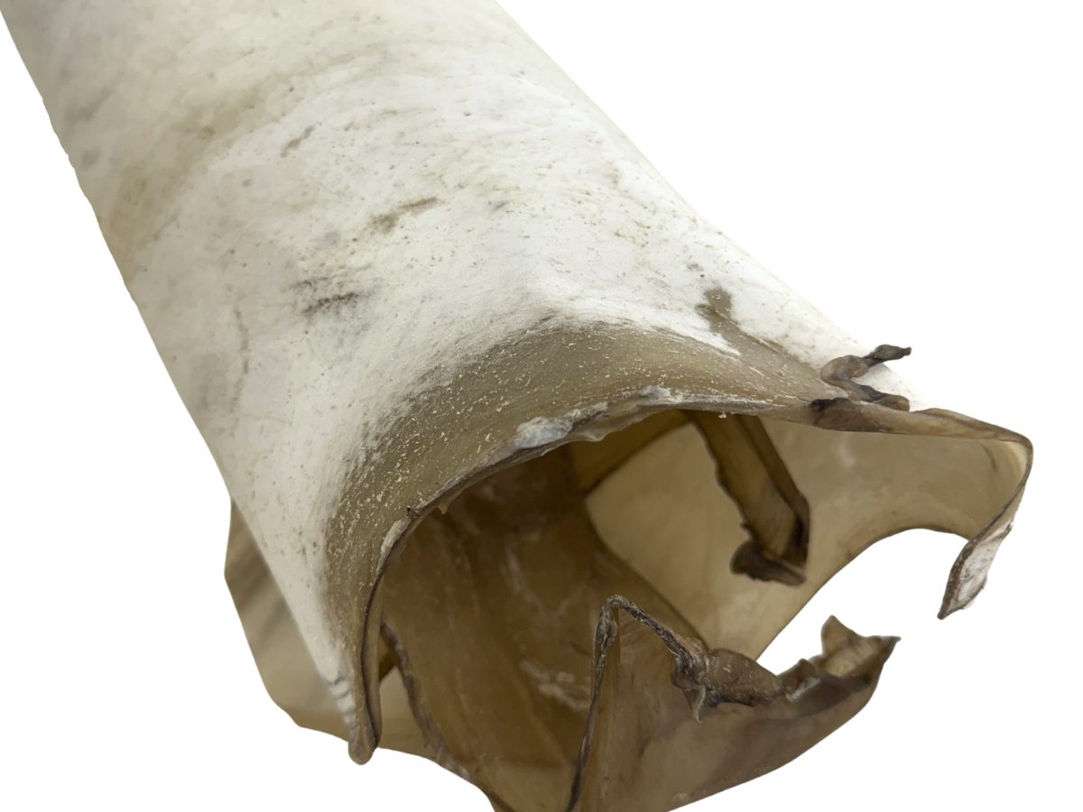 Deer Rawhide - Buy Online - Montana Leather Company
