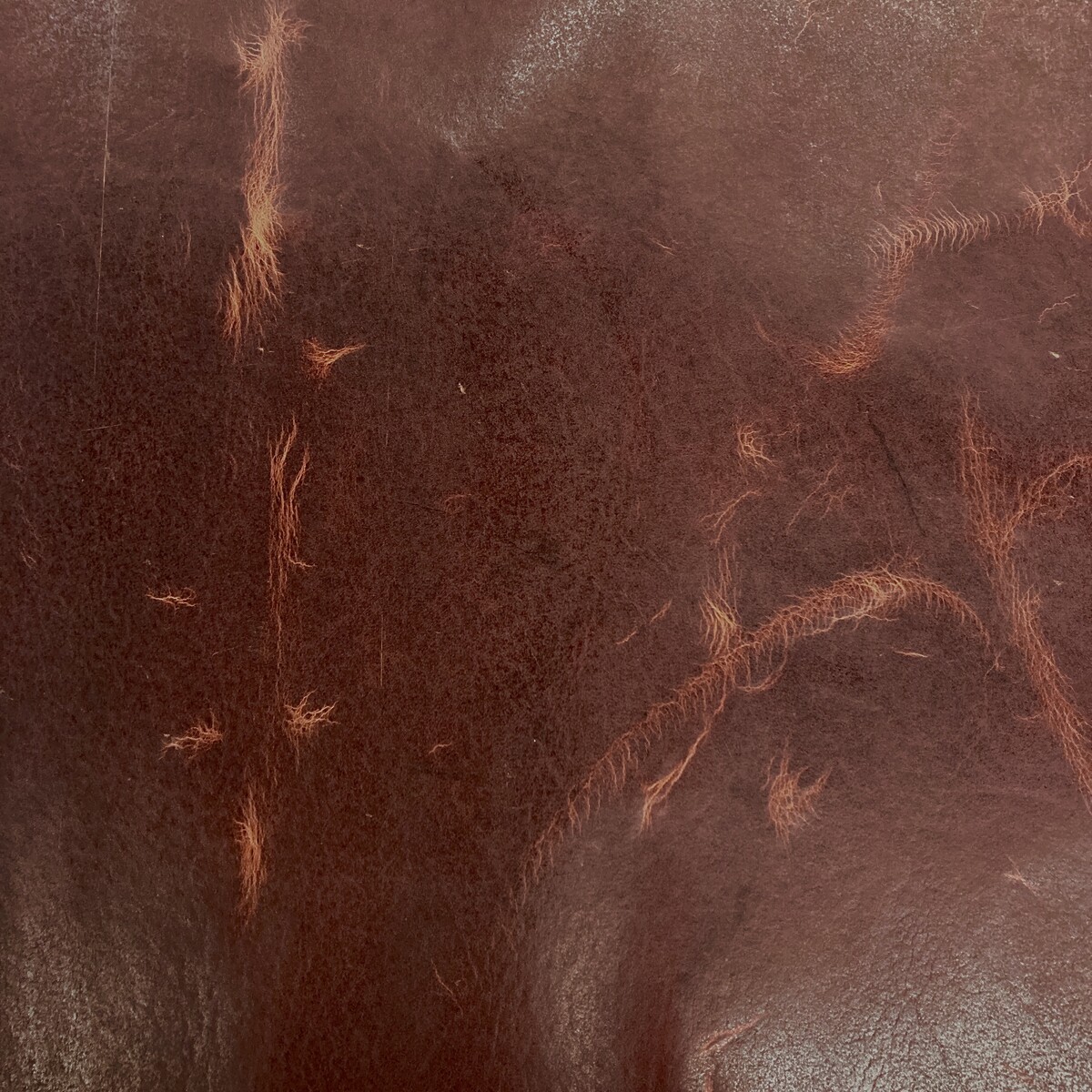 Redwood Navajo Pull Up Bison - Image 3