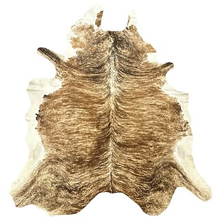 Hair on Cow - 4