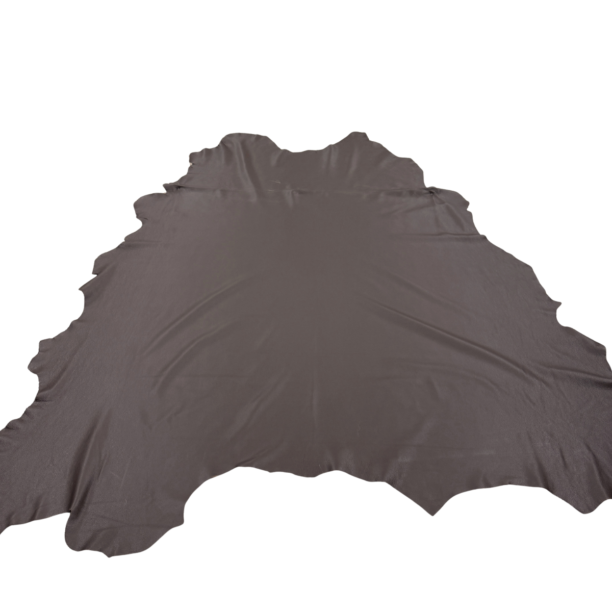 Caesar Upholstery - Coffee - Image 2