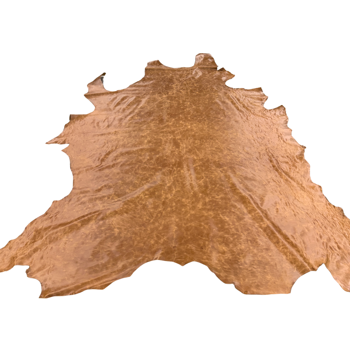 Nimbus Upholstery - Walnut Creek - Image 2