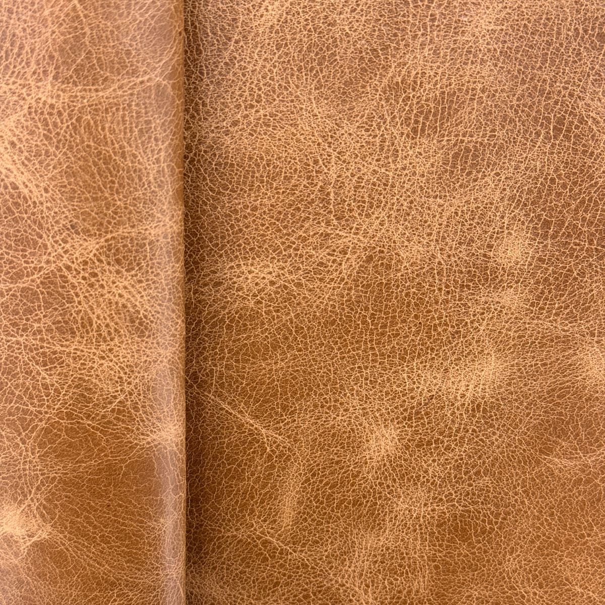 Walnut Creek Nimbus Upholstery