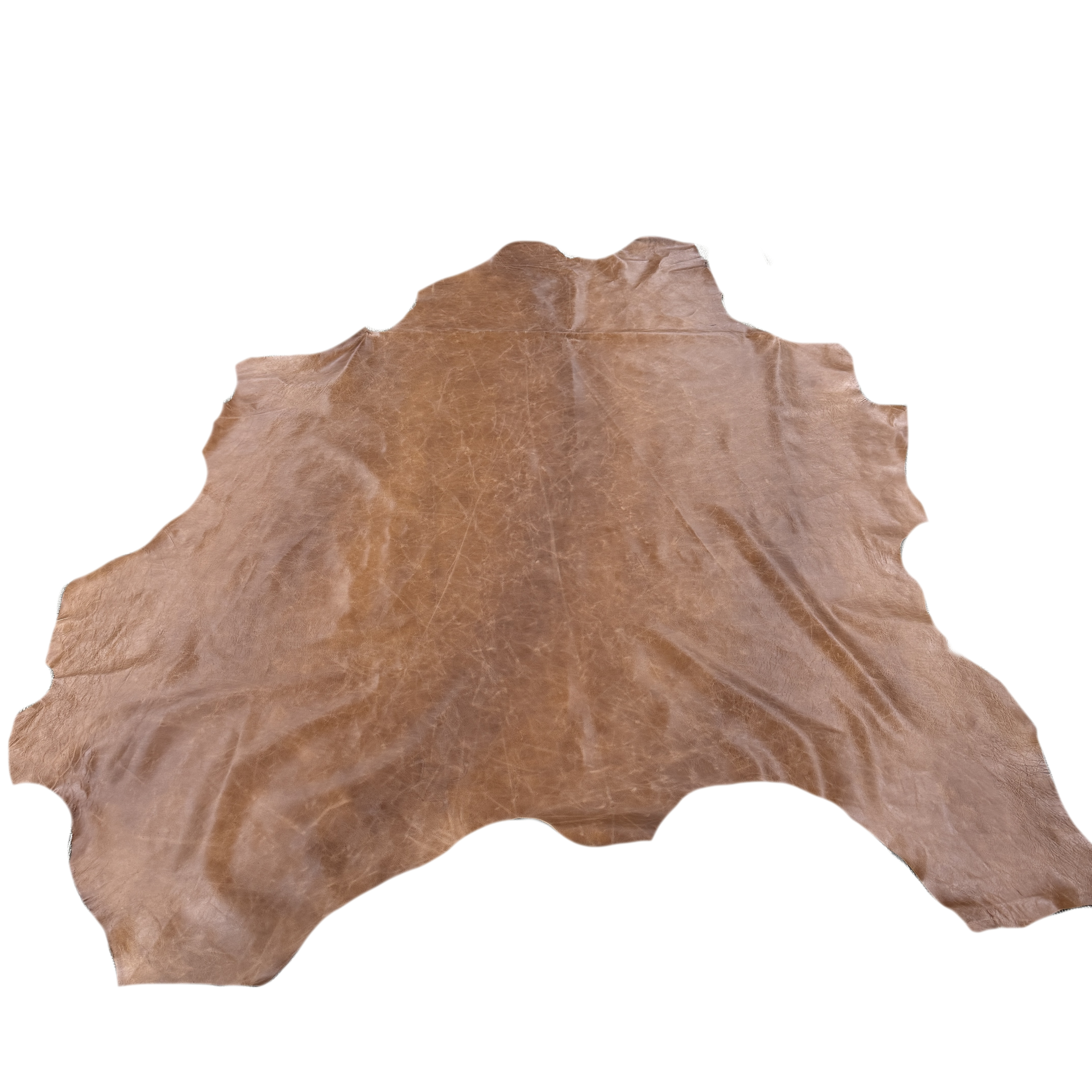 Nimbus Upholstery - Walnut - Image 2