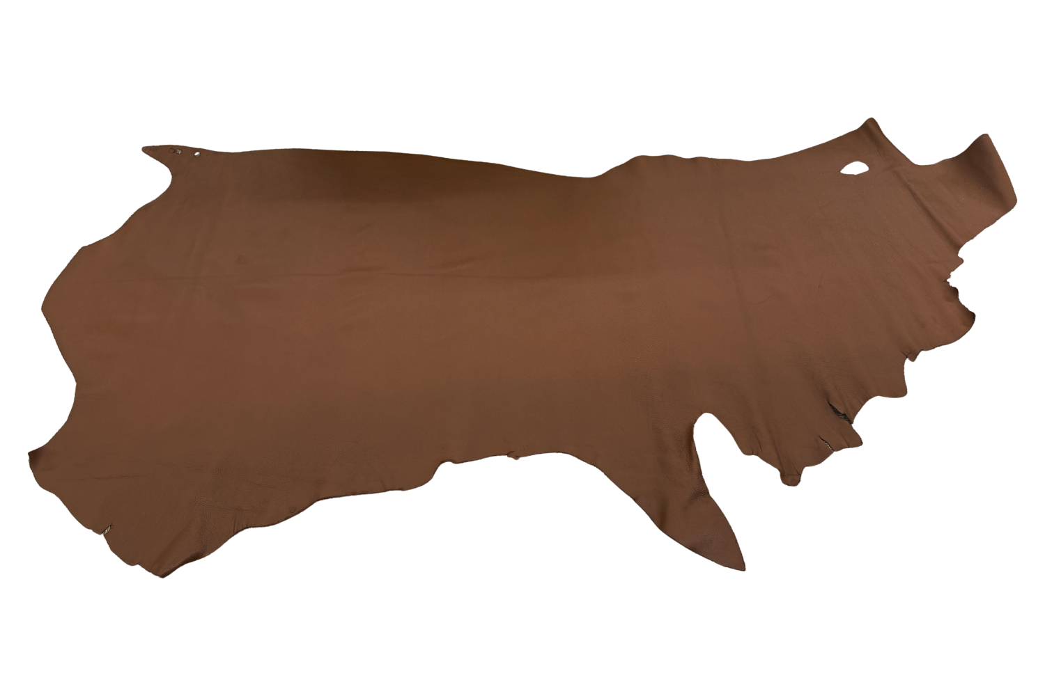 Cheyenne Chap Leather - British Tan - Image 3