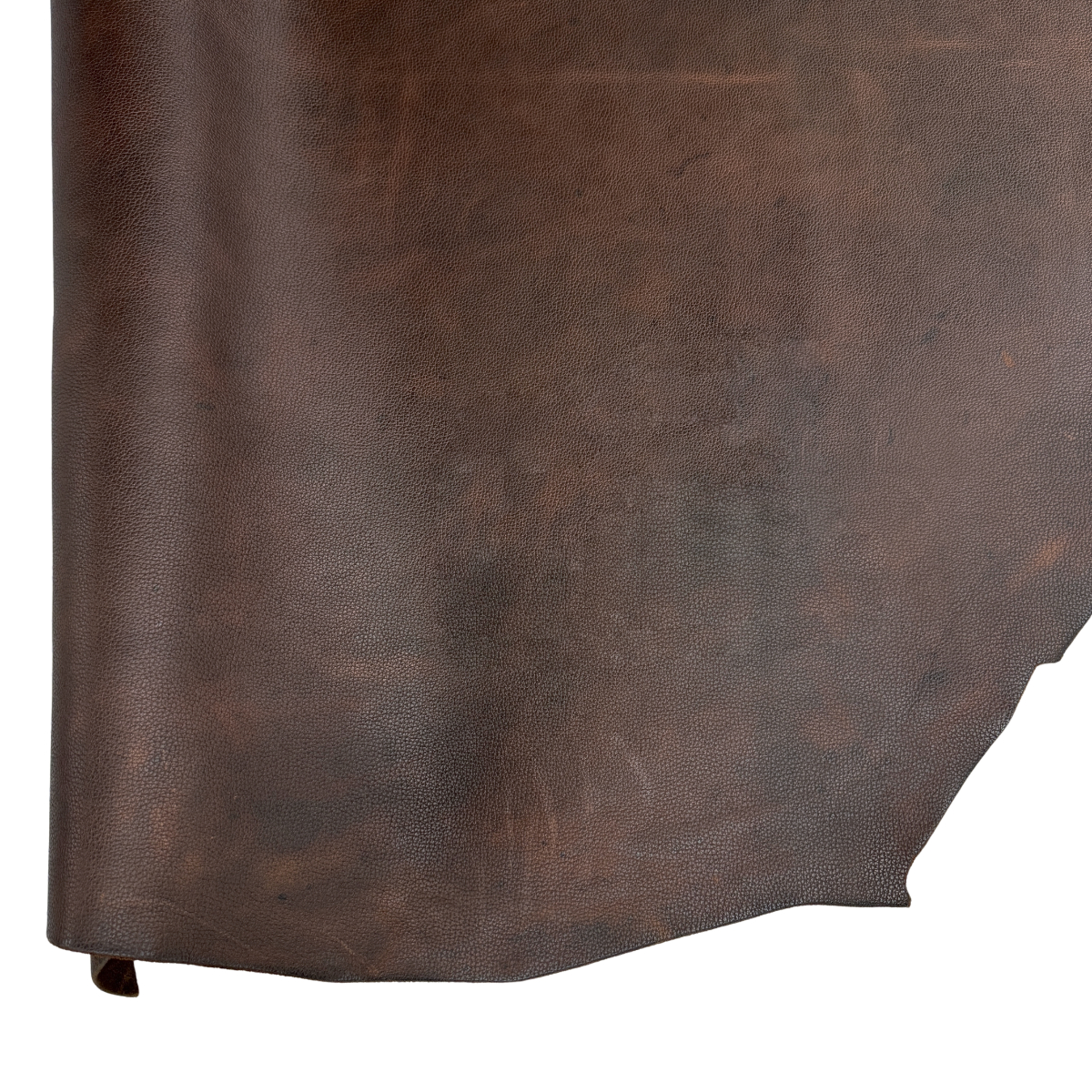 Bulldog Brown Leather - Image 2