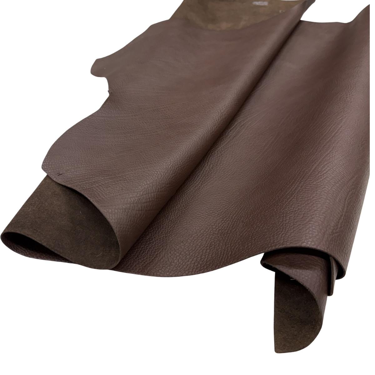 Chicory Coffee Leather 1