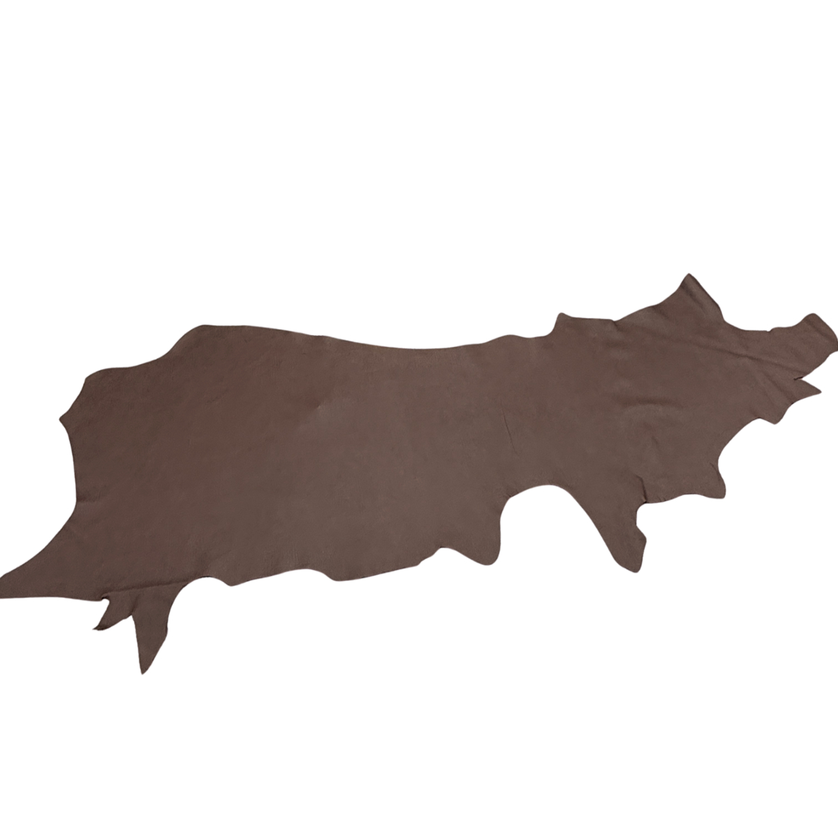 Chicory Coffee Leather - Image 3
