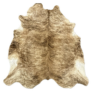 Hair on Cow - 5