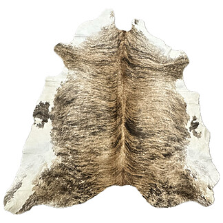 Hair on Cow - 6