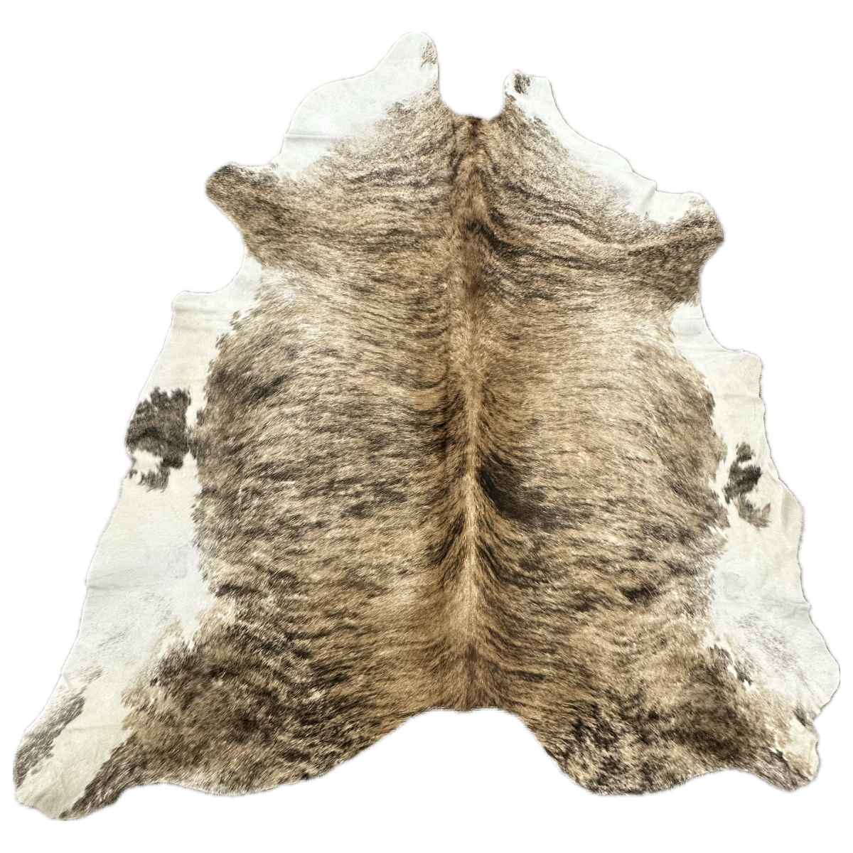 Hair on Cow - 6