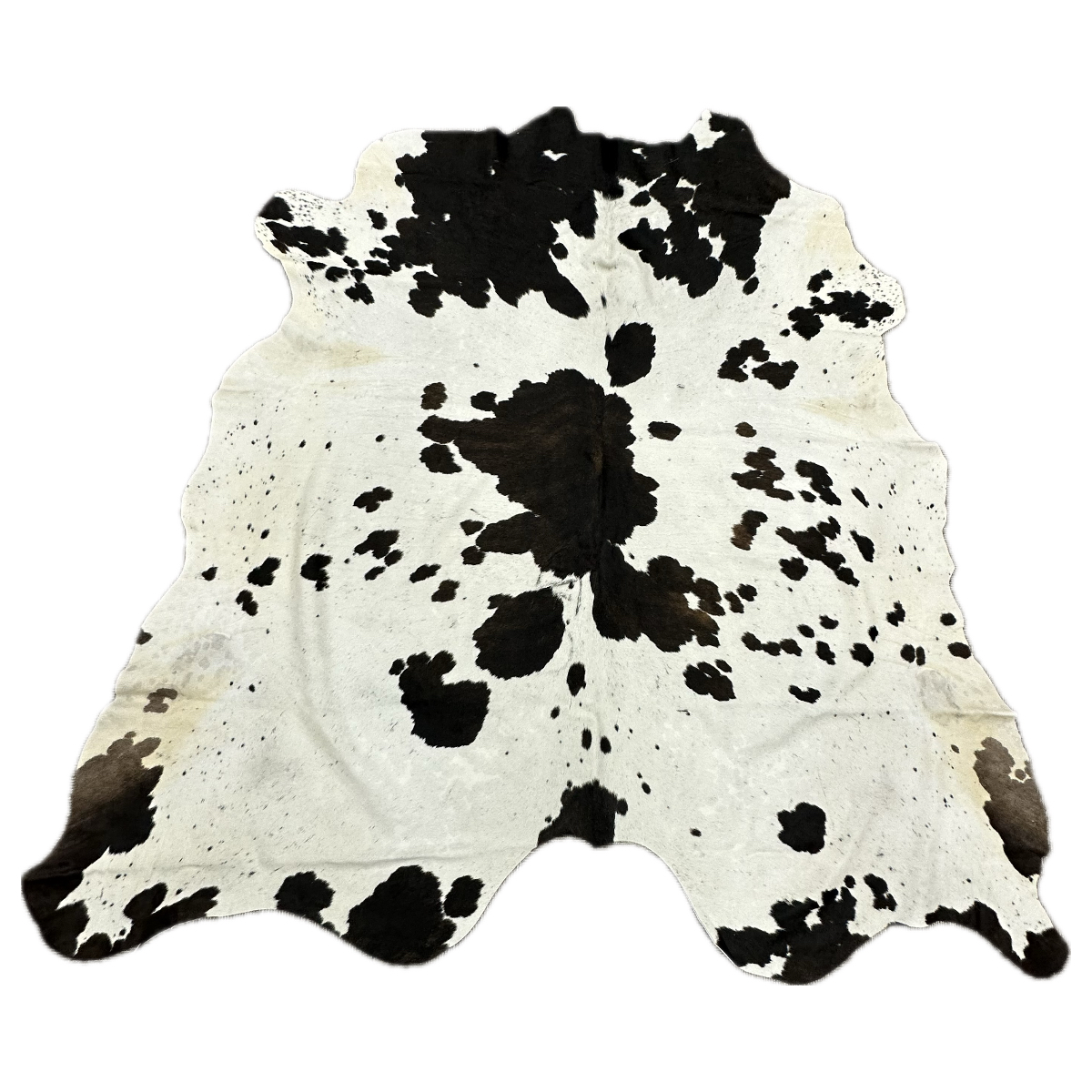 Hair on Cow - 7