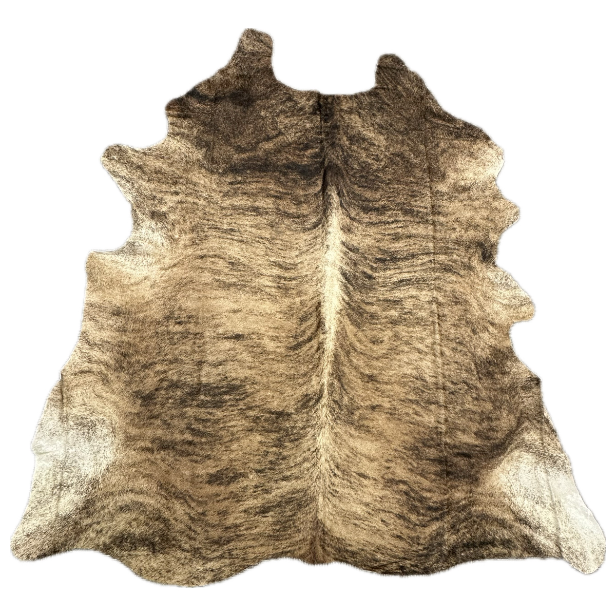 Hair on Cow - 14