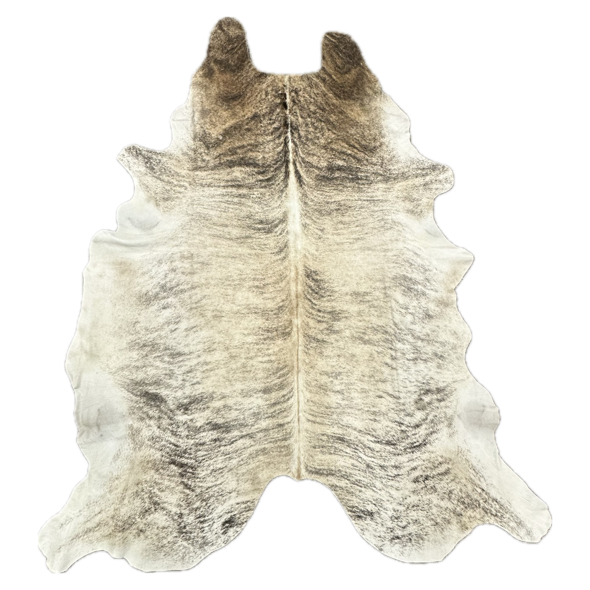 Hair on Cow - 15