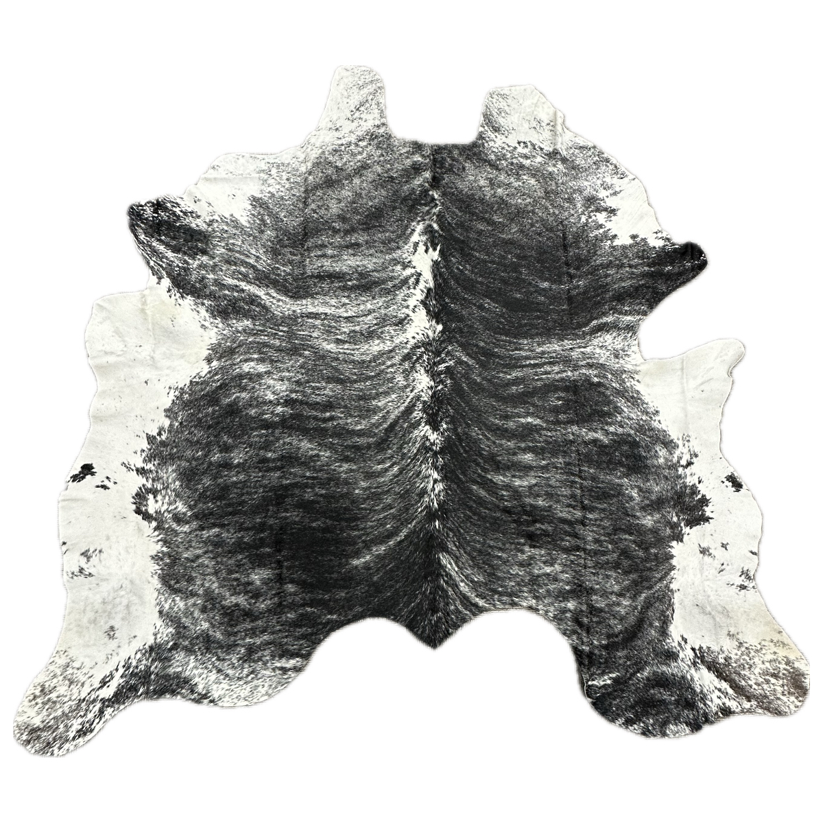 Hair on Cow - 16