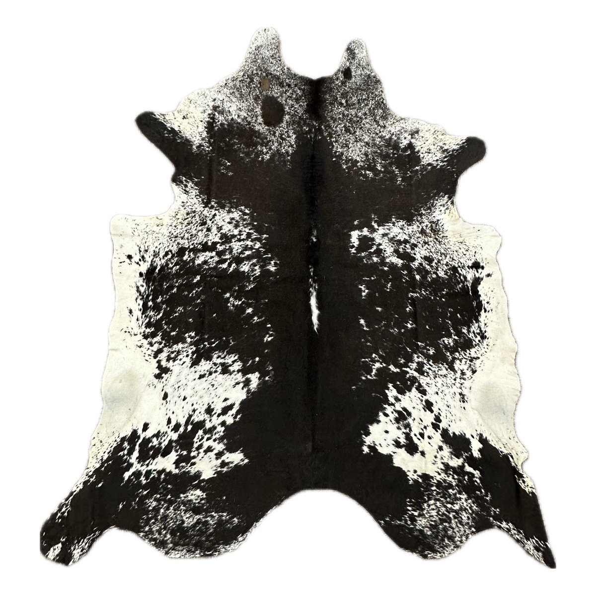 Hair on Cow - 27
