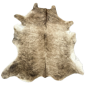 Hair on Cow - 31