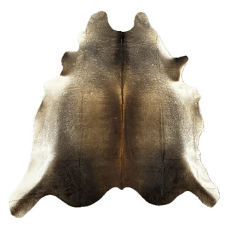 Hair on Cow - 32