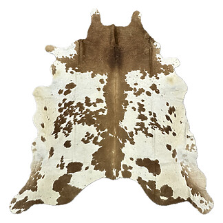 Hair on Cow - 37