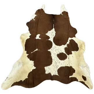 Hair on Cow - 39