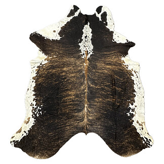 Hair on Cow - 46