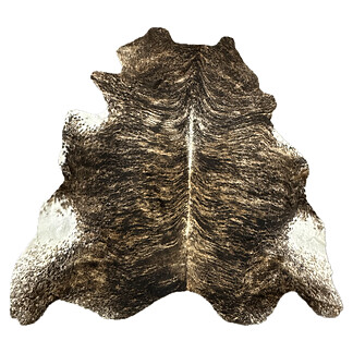 Hair on Cow - 22