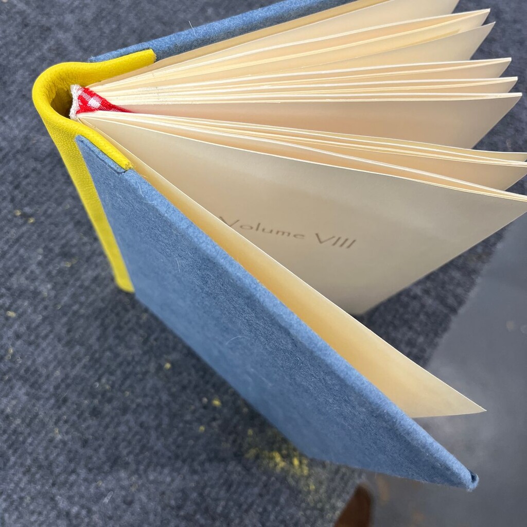 Bookbinding done with kidskin by Tom S.