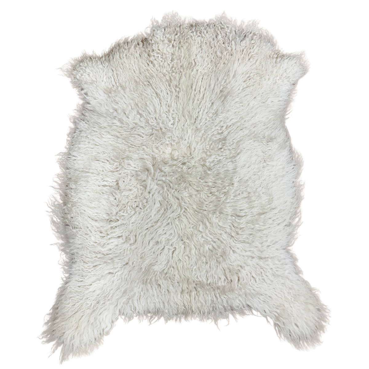 Angora Goat - White