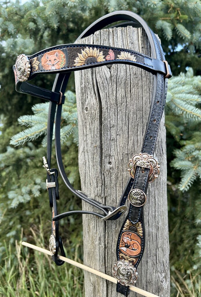 A halter made with Hermann Oak A-B branded leather.