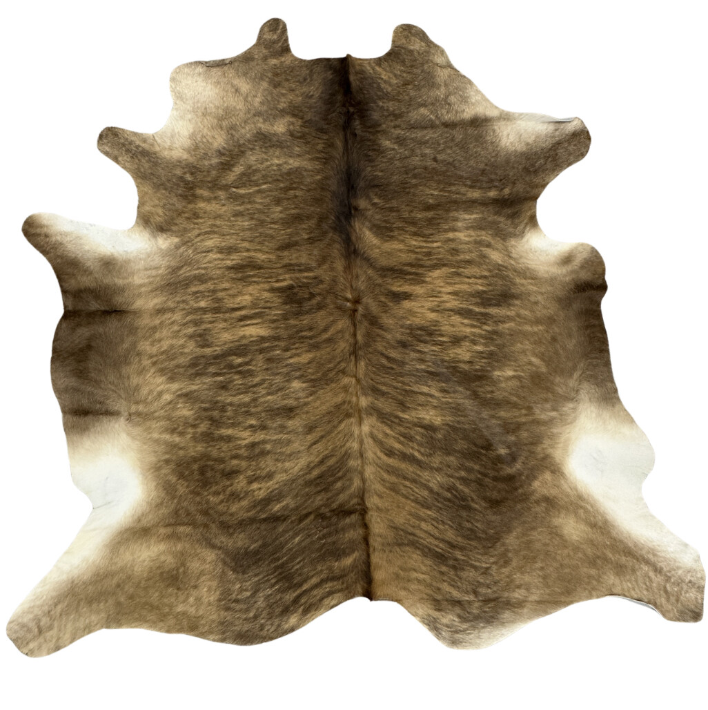 Hair on Cow - 10