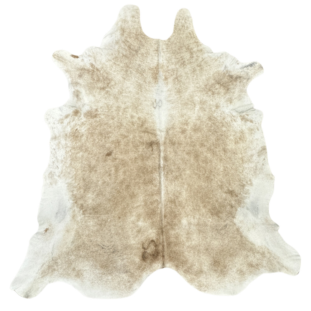 Hair on Cow - 3