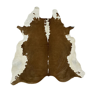 Hair on Cow - 4