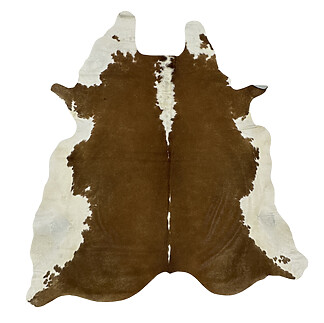 Hair on Cow - 4