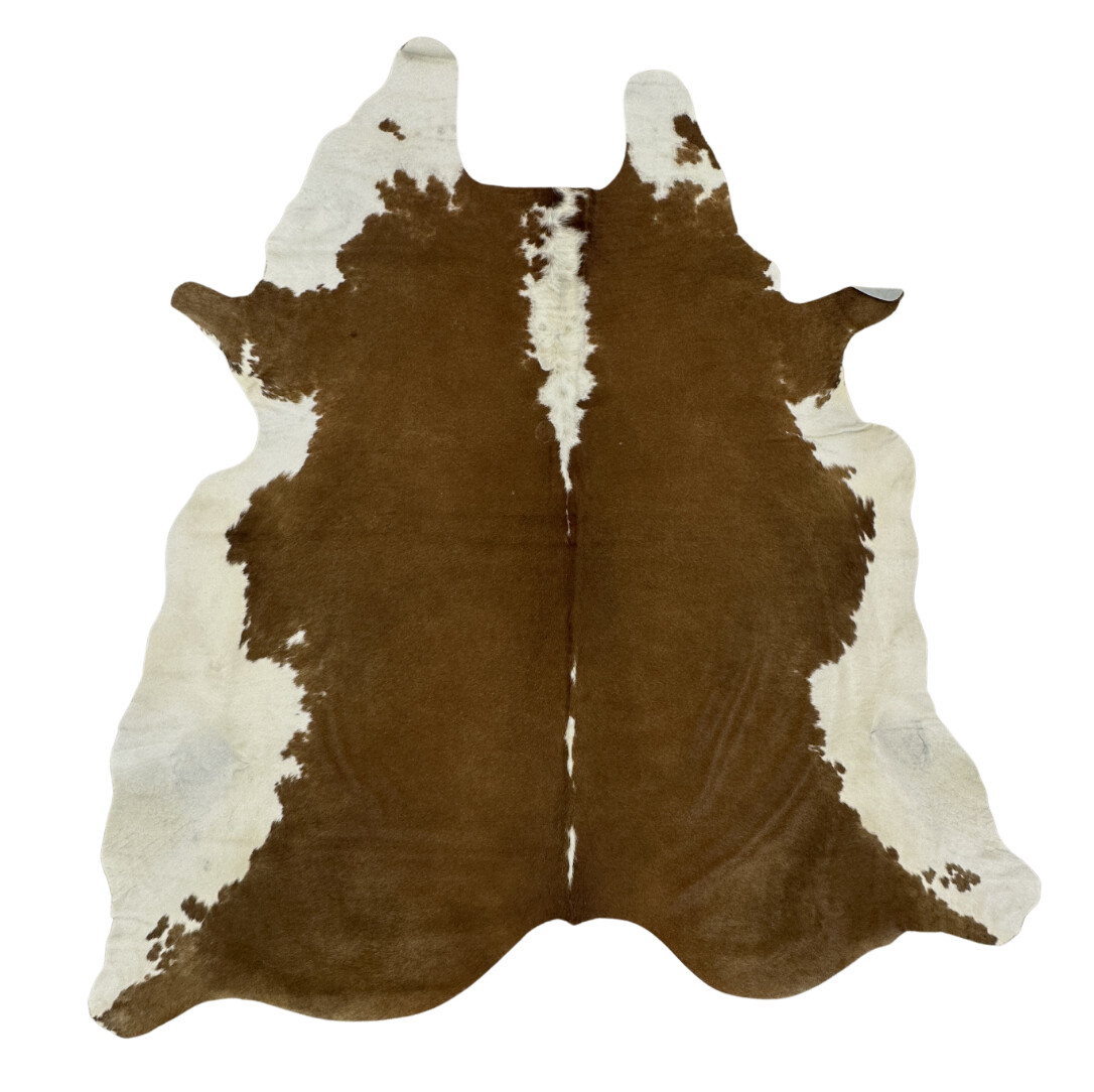 Hair on Cow - 4
