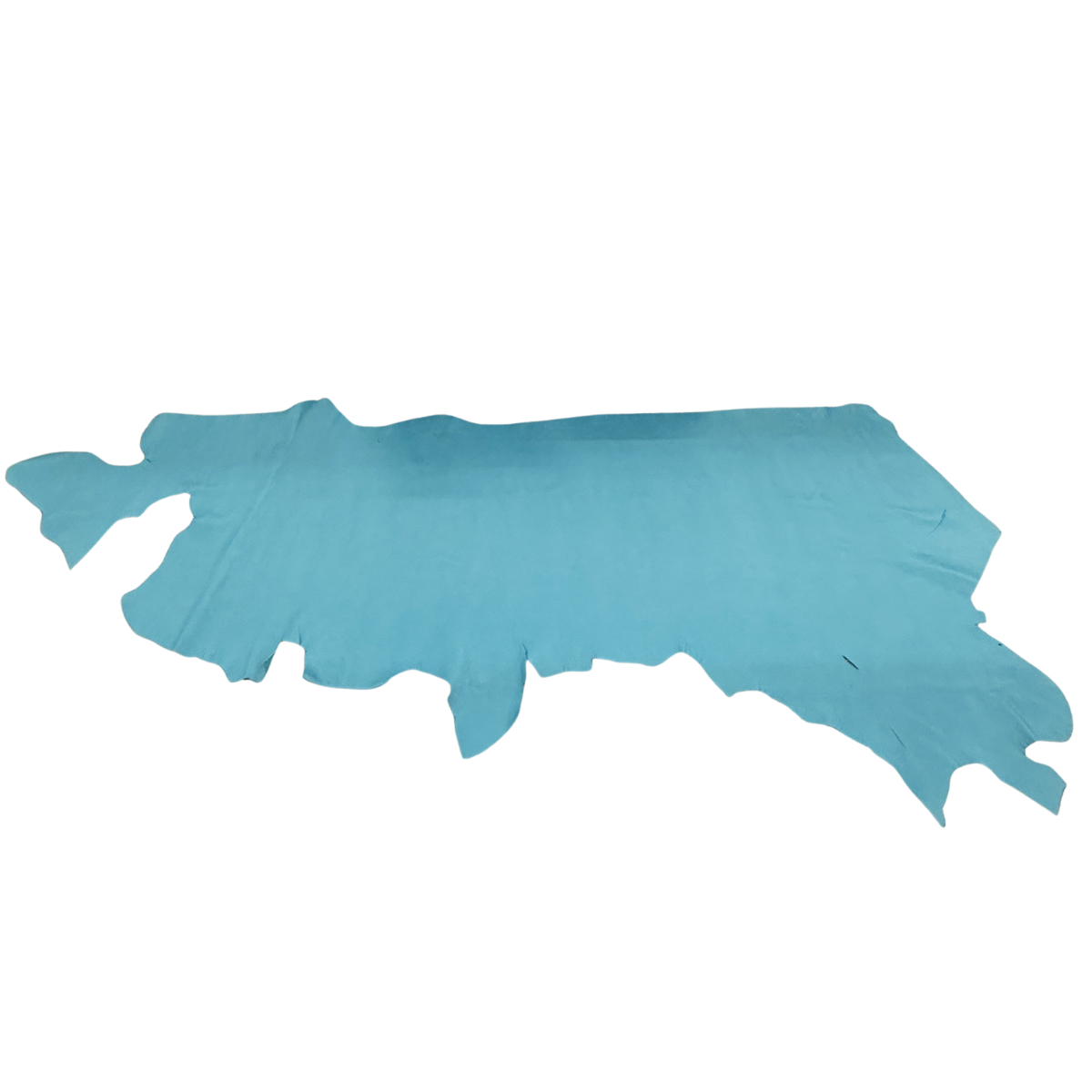 Turquoise Cheyenne Leather Side