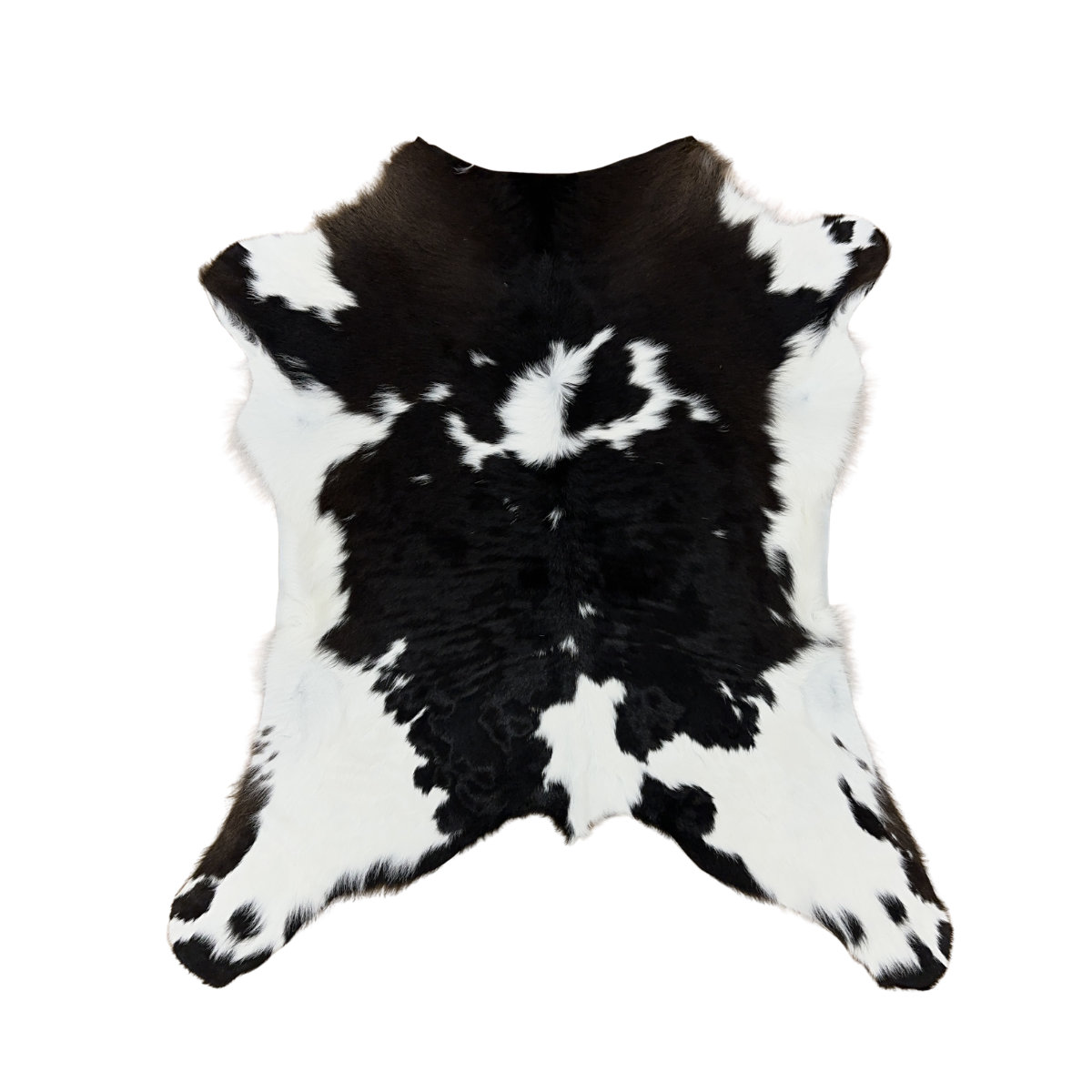 Hair on Calf - 9