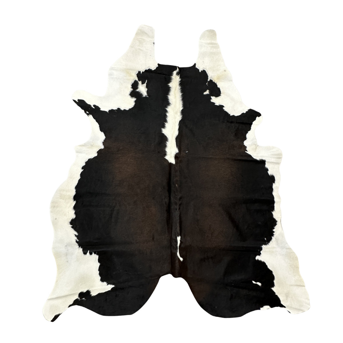 Hair on Cow - 10