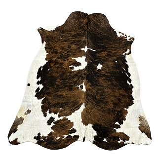 Hair on Cow - 11